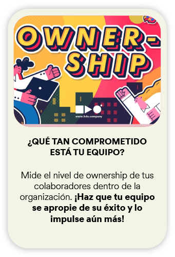 Owner Ship